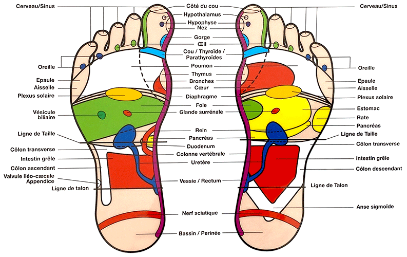 Carte de pieds